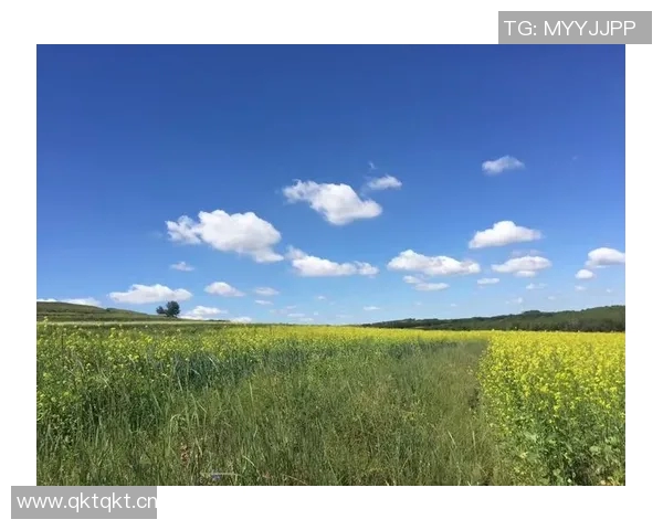 王秀英的极限运动人生探索与深度对话之旅
